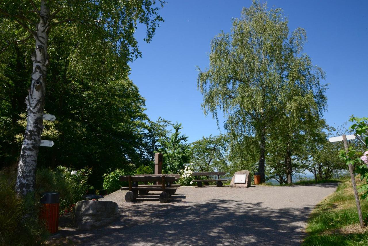 Residence Am Weinberg / Travellers Hotelbetriebs Gmbh Sasbachwalden Eksteriør bilde