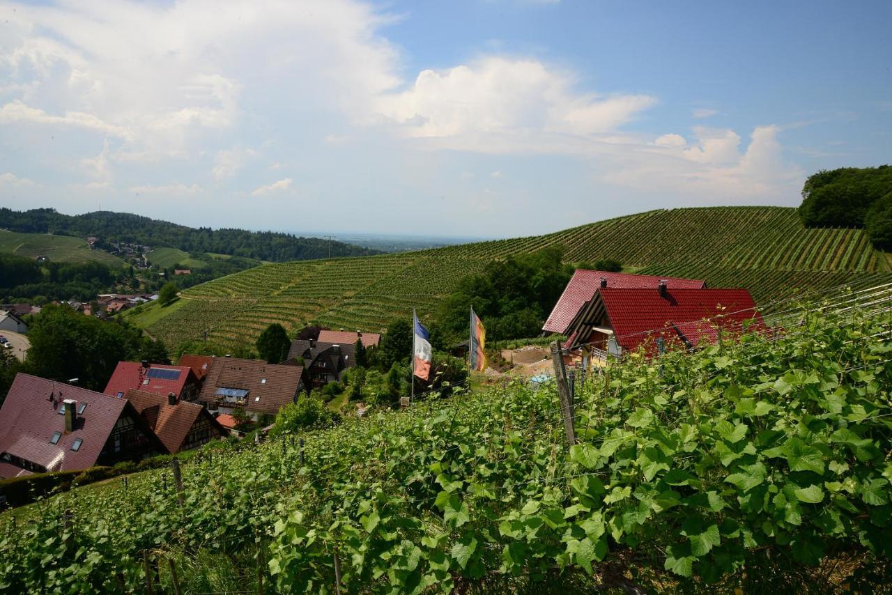 Residence Am Weinberg / Travellers Hotelbetriebs Gmbh Sasbachwalden Eksteriør bilde